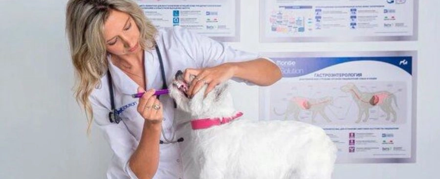 Фото галереи 7