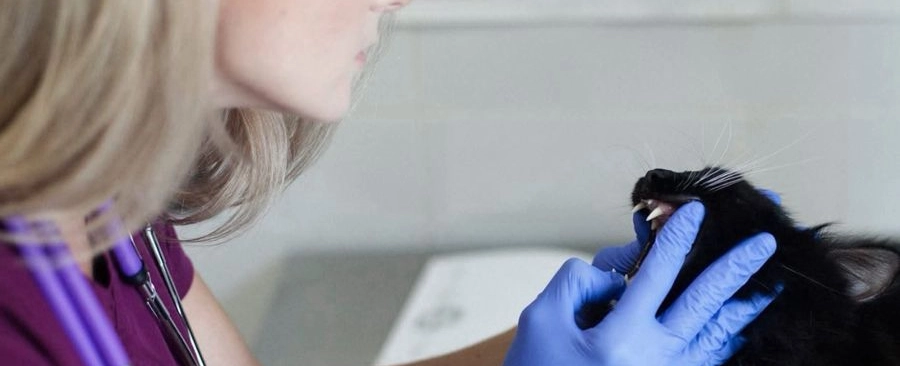 Фото галереи 8