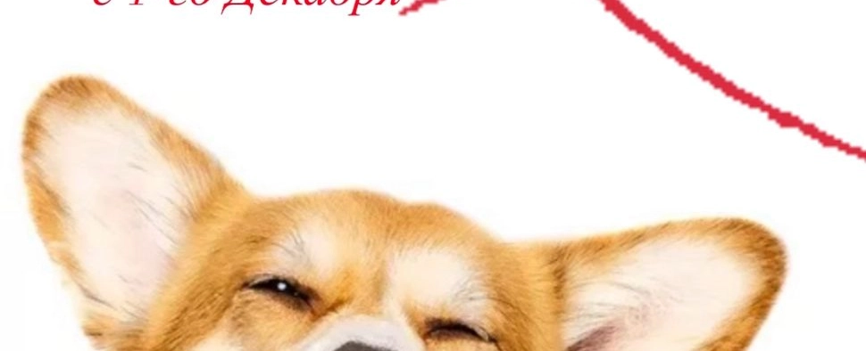 Фото галереи 9