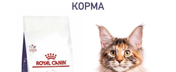 Фото галереи 10