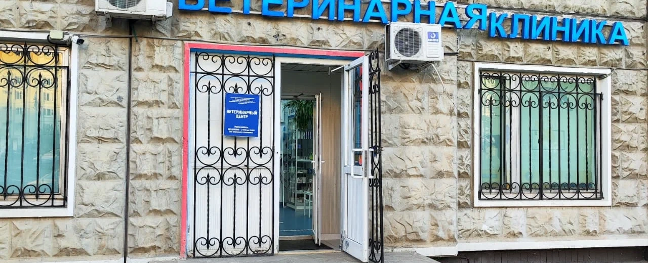 Фото галереи 1