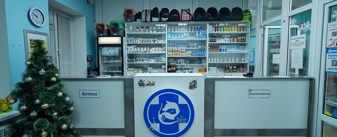 Фото галереи 1