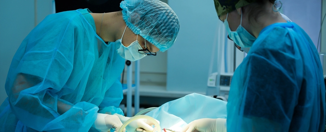 Фото галереи 2