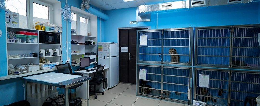 Фото галереи 3