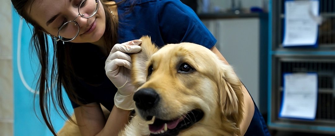 Фото галереи 4