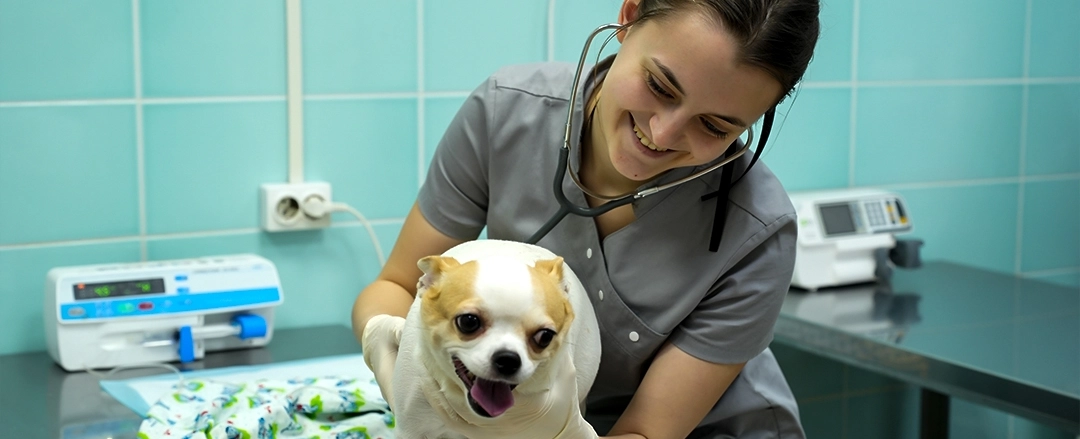 Фото галереи 5