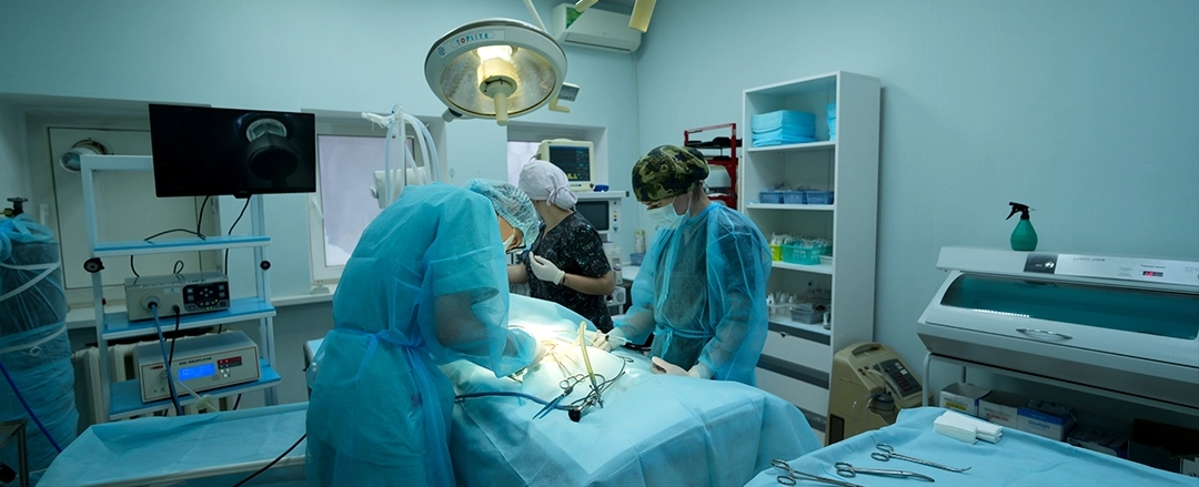 Фото галереи 6