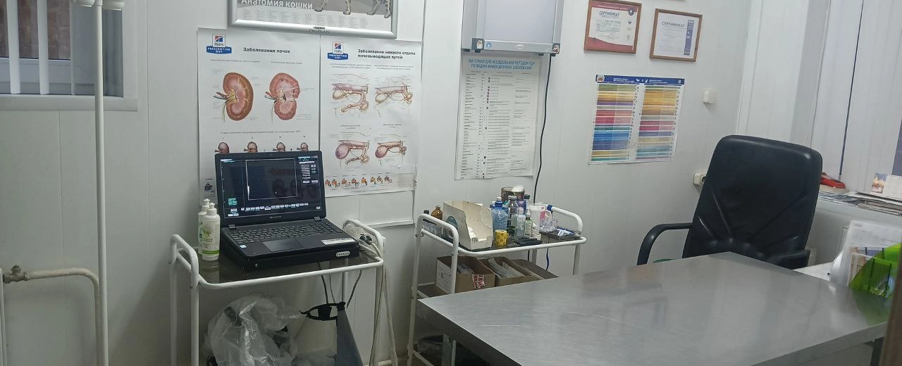 Фото галереи 1