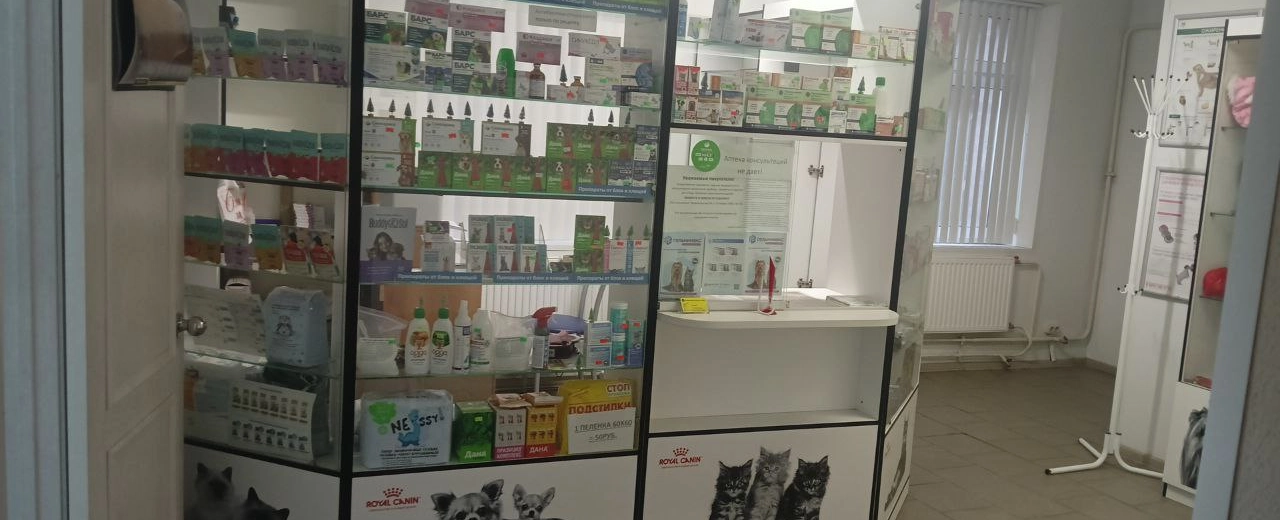 Фото галереи 2