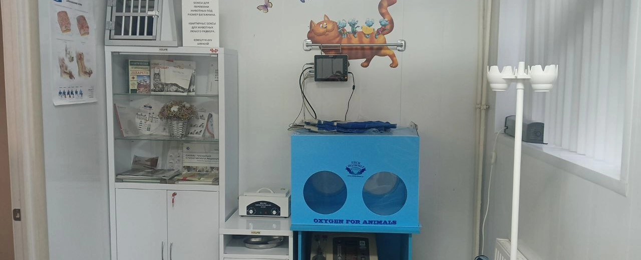 Фото галереи 3