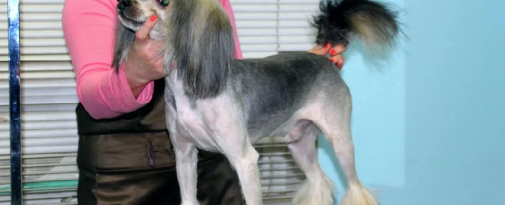 Фото галереи 2