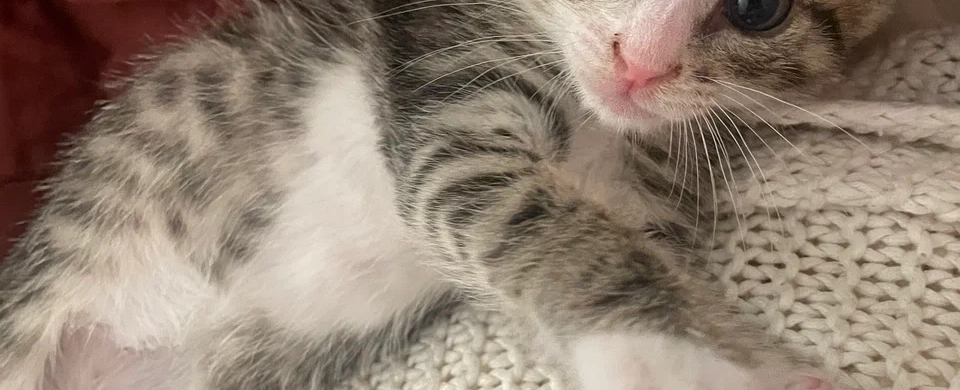 Фото галереи 3