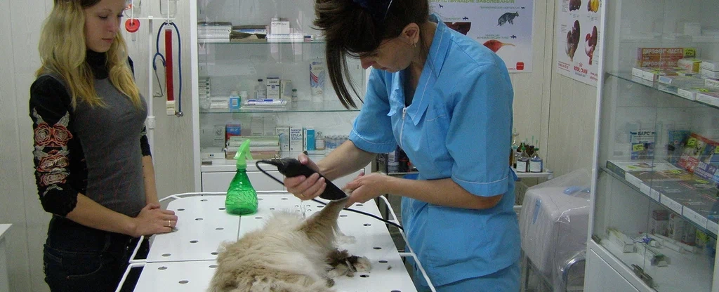 Фото галереи 3