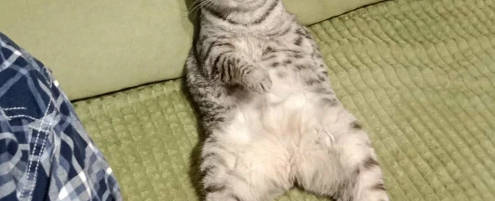 Фото галереи 4