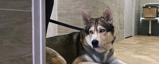 Фото галереи 3