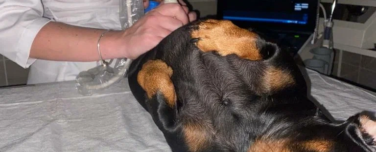 Фото галереи 4