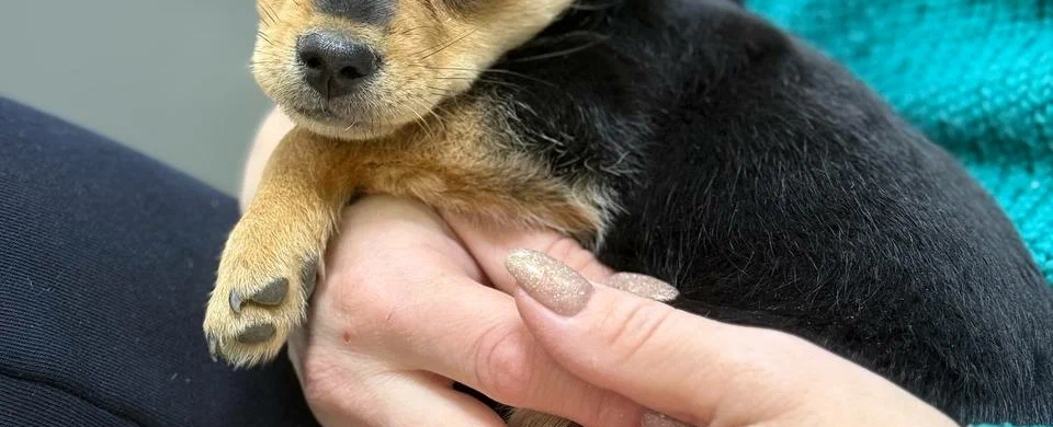 Фото галереи 5