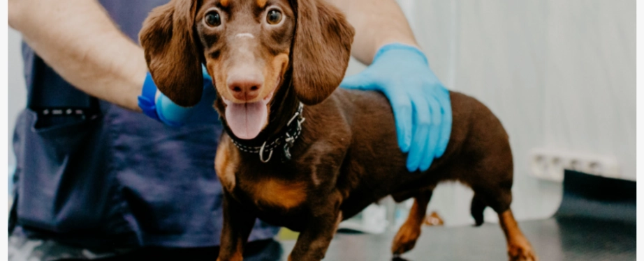 Фото галереи 1