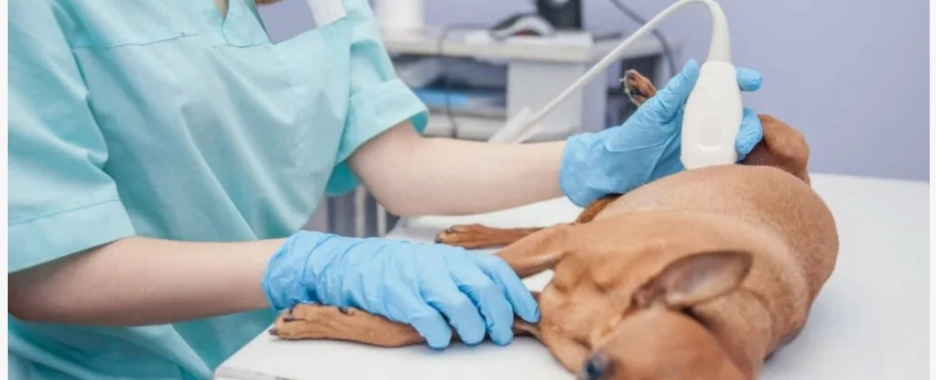 Фото галереи 2