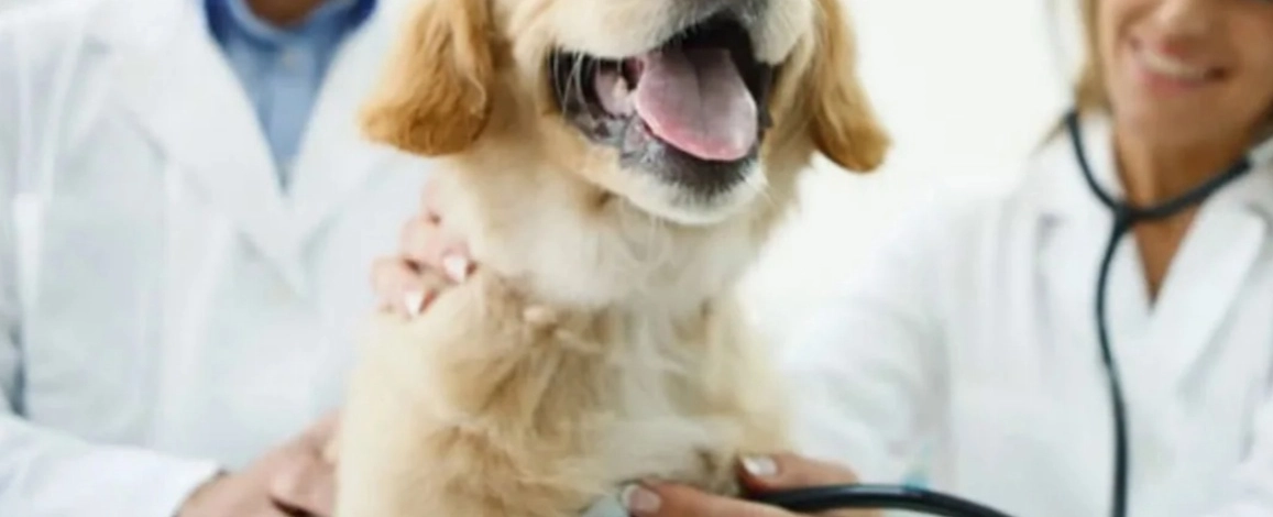 Фото галереи 4