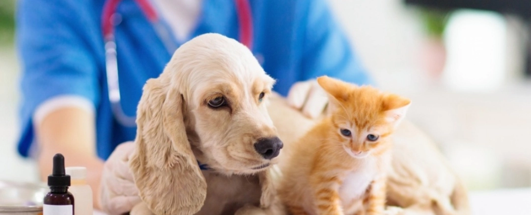 Фото галереи 6