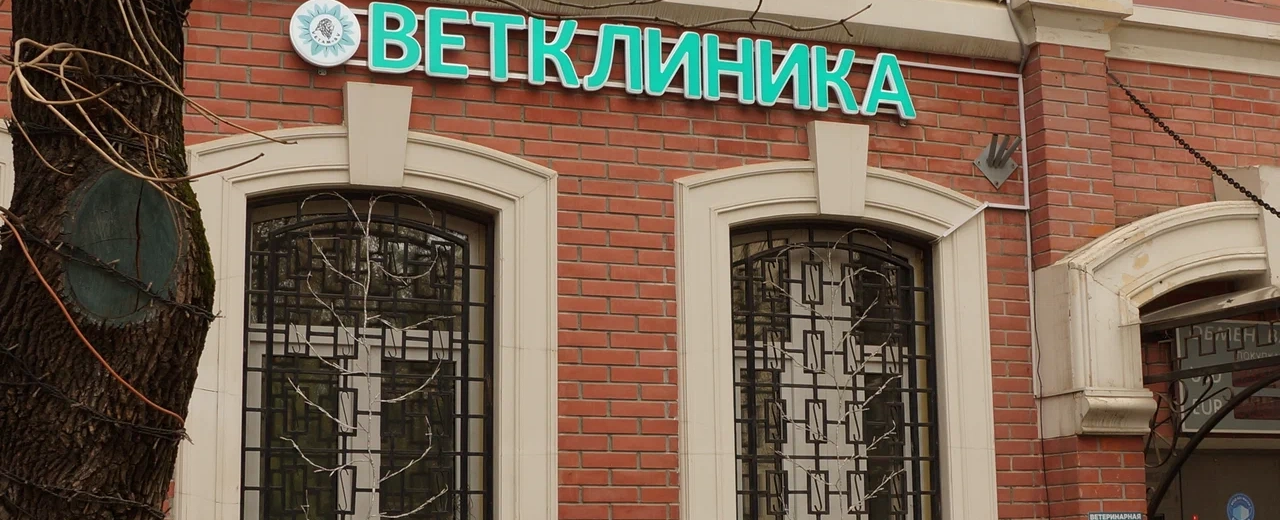 Фото галереи 15