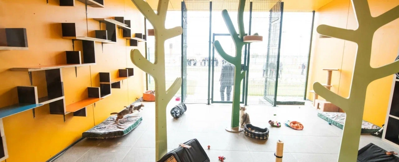 Фото галереи 1