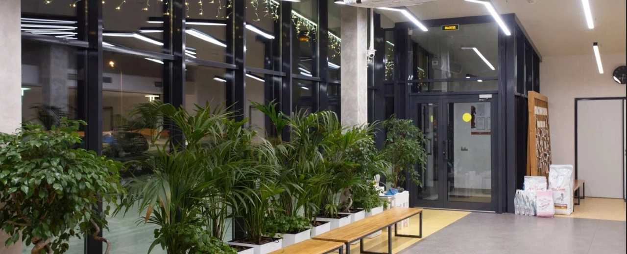 Фото галереи 3