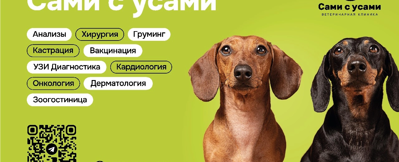 Фото галереи 1