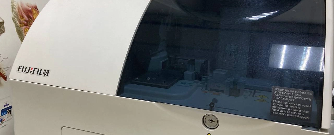 Фото галереи 7