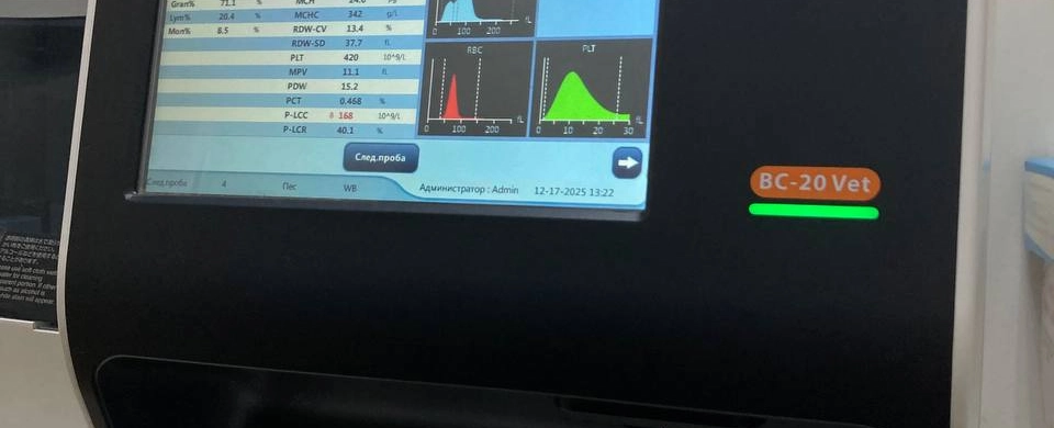 Фото галереи 8