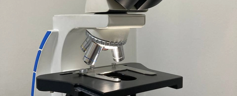 Фото галереи 10