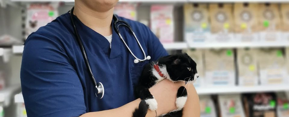 Фото галереи 14