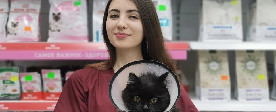 Фото галереи 15