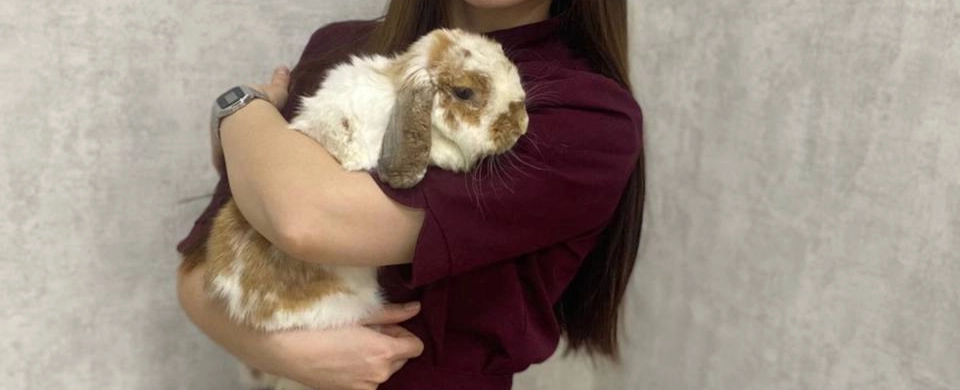 Фото галереи 16