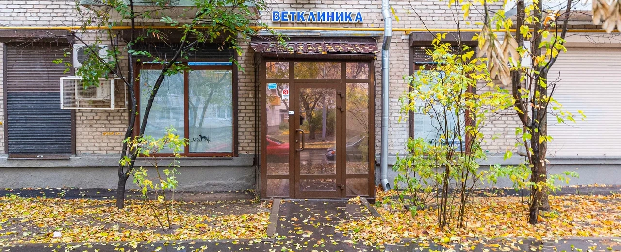 Фото галереи 16