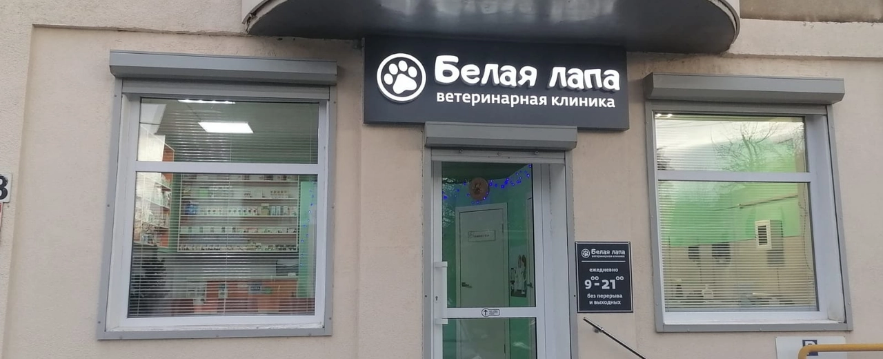 Фото галереи 1