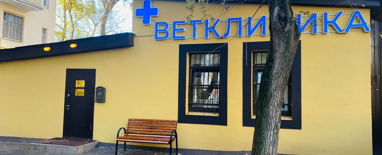 Фото галереи 2