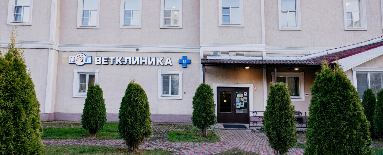 Фото галереи 1