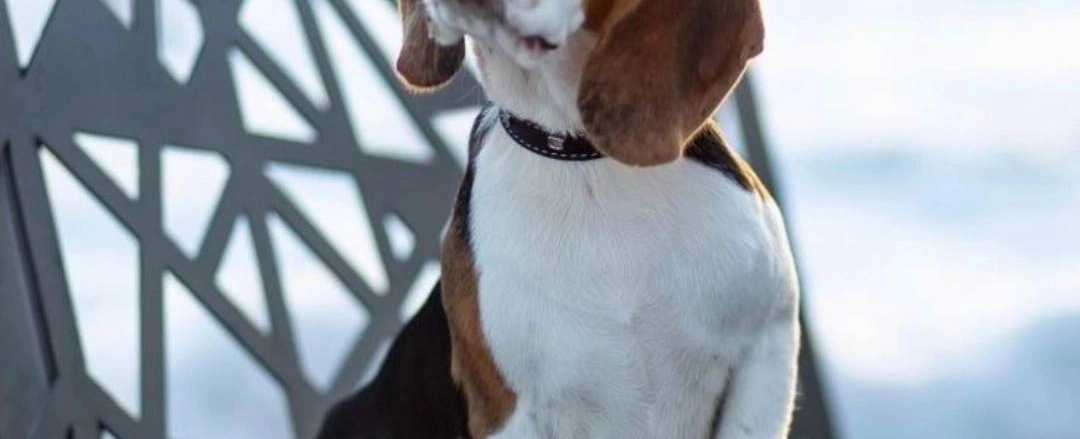 Фото галереи 1