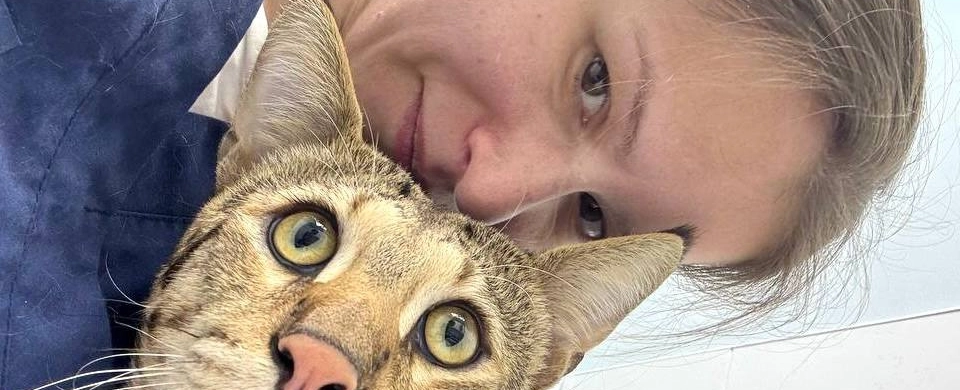 Фото галереи 3