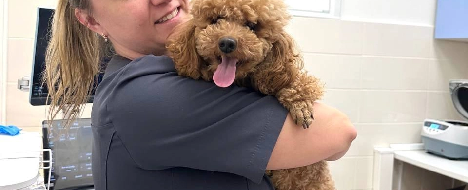 Фото галереи 4