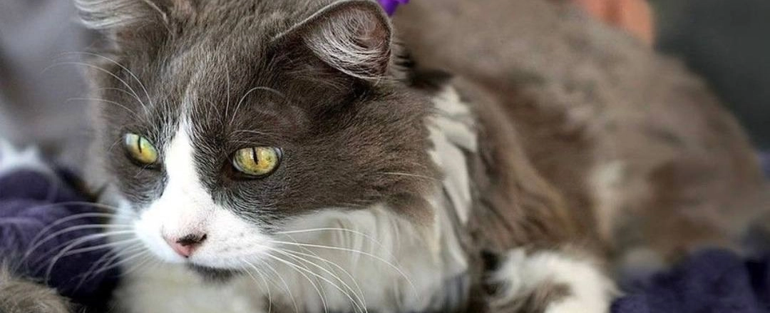 Фото галереи 5