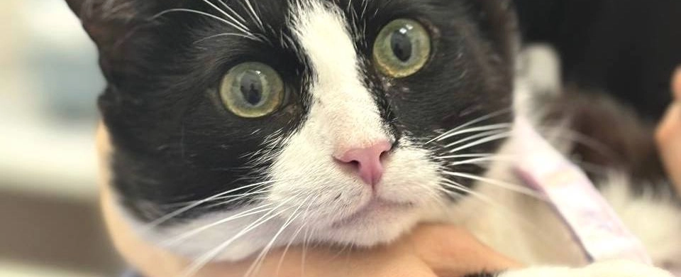 Фото галереи 8