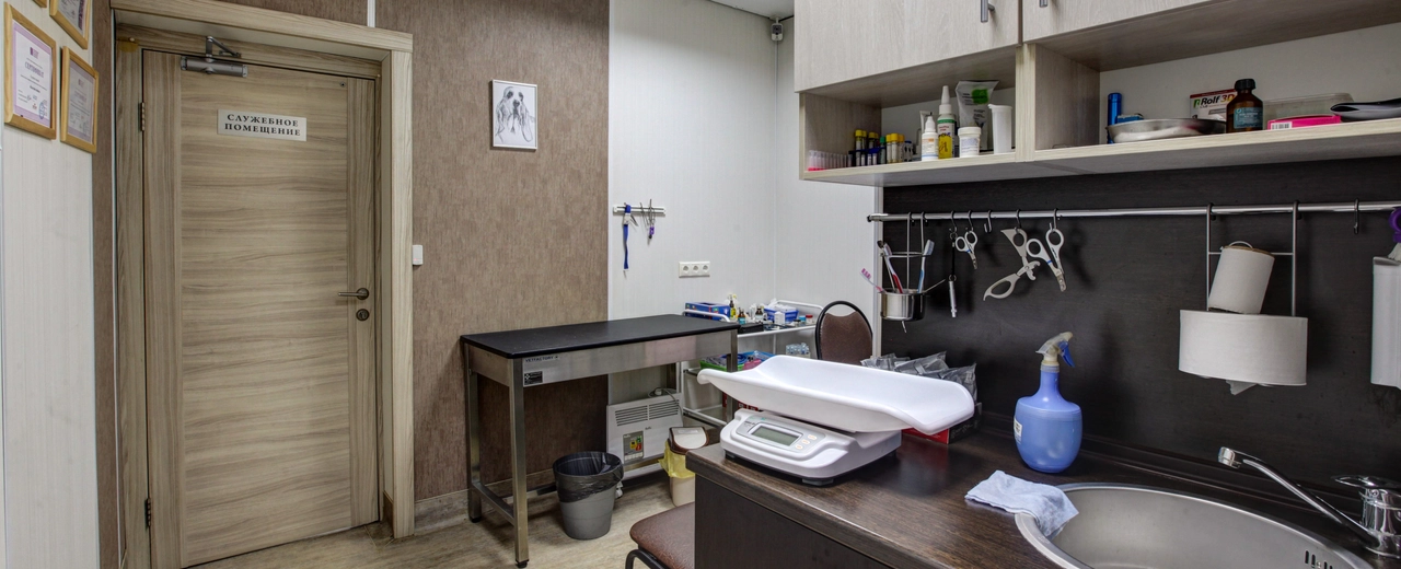 Фото галереи 4