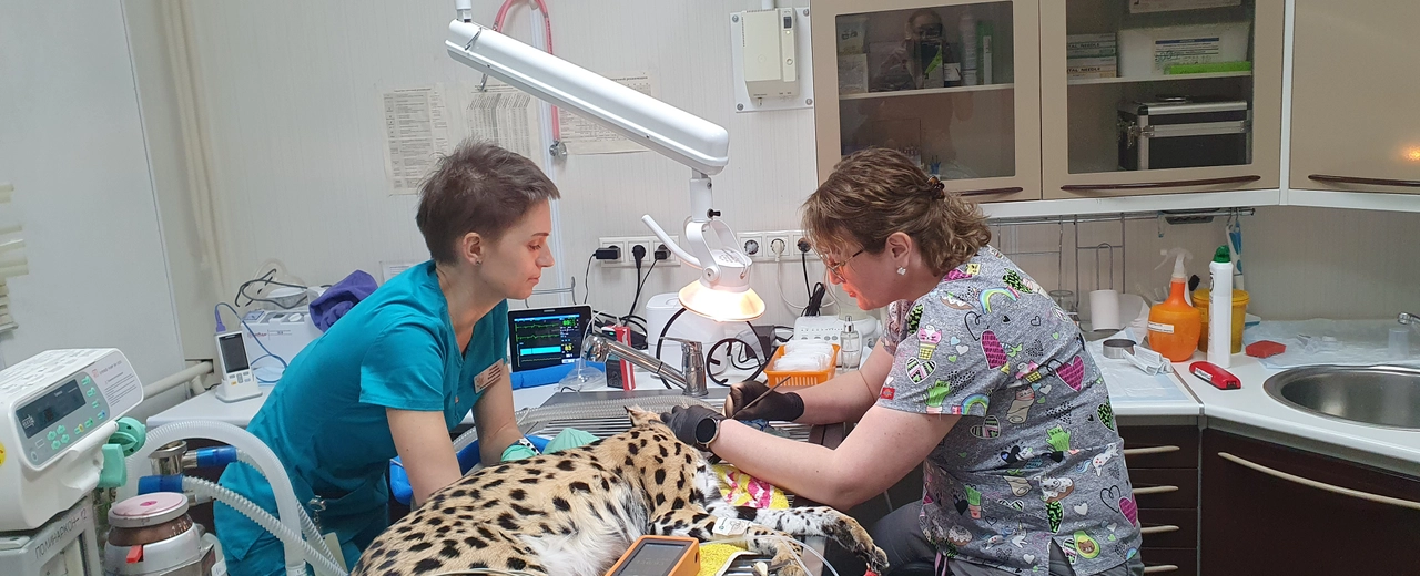 Фото галереи 8