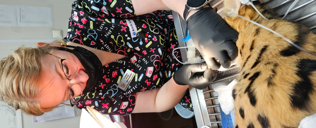 Фото галереи 9