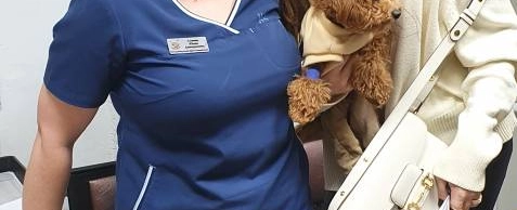 Фото галереи 10