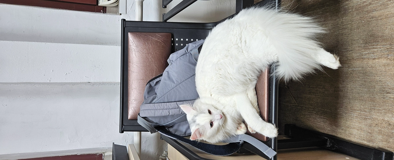 Фото галереи 11