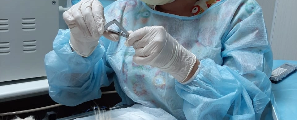 Фото галереи 12